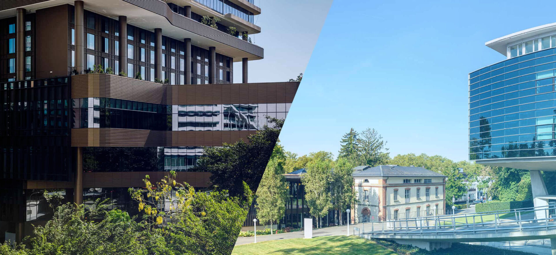 20231215-Corporate-Solutions-TopBanner-Tablet-2400x1100-BlueFilter - IMD Business School - IMD Business School