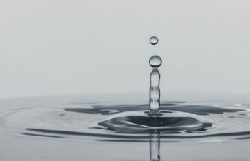 cesar-couto-UeBFFAPwuj8-unsplash-scaled-e1694700399528-1536x987 - IMD Business School - IMD Business School