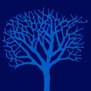  - IMD Business School
